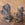 Set of Seven Whimsical 18th C Italian Limestone Garden Figures