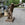 Monumental 19th Century French Cast Iron Sculpture after the “Borghese Gladiator” on Original Marble Base