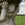 Monumental English Carved Stone Birdbath