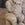 Set of Seven Whimsical 18th C Italian Limestone Garden Figures