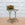 Vintage Painted Iron Sink Stand