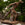 Monumental 19th Century French Cast Iron Sculpture after the “Borghese Gladiator” on Original Marble Base