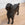 Rare Pre Civil War American Cast Iron Retriever