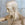 Large Anatomical Écorché Plaster Figure