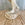 Large Anatomical Écorché Plaster Figure
