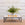 Vertex Coffee Table