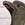 Pair of 19th C Carved Stone Crows on Pedestals