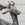 19th C English Lead Sculpture of a Stag