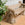 Antique Faux Bois Limestone Garden Bench