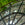 One Massive Arched Steel Window
