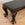 Antique Paw-Foot Coffee Table or Bench with Black Leather Cushion