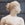 19th C. Carved Marble Garden Sculpture of Venus