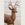 Concrete Garden Stag Sculpture after the Original Iron J.W. Fiske, Circa 1920