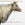 19th C. American Copper Cow Weathervane, Attr. to Cushing & White