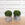 Pair of 19th C. English Lead Planters with Ropework Rims