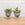 Large Pair of 19th C. English Lead Garden Urns with Satyr Handles