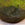 Pair of Vintage Stone Moss-Covered Planters