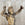 19th C. French Buff Terracotta Standing Cherub Statue