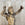19th Century French Buff Terracotta Standing Cherub Statue