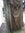 Late 19th Century Italian Neoclassical Bronze Figure Depicting a Young Girl