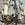 Iron and Tole Electrified Floral Chandelier