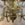 Two 19th Century Monumental William & Mary Style Spun Brass Chandelier, each