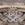 19th C. American Carved Wood and Gesso Corinthian Capitals