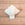 Shell Sconce