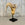 Ram Skull with Horns on Stand