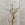Tree Coat Rack in Antique Gold