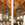 Bronze Gothic Lantern(s), each
