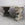 Monumental Antique Gothic Carved Limestone Table Base with Thick Marble Top