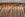 Hand Made Birch Bark in the Traditional Manner of Northeastern Native Peoples