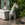 Cast Stone Folk Art Donkey (SOLD)