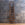 19th Century Continental Library Ladder