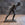 Bronze Athlete Sculpture After the 4th Century B.C. Greek Original “Runner”