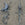 Pair of Monumental Wrought Iron Wall Mounted Dragons