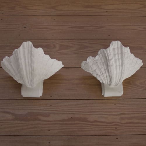 Shell Sconce – RT Facts